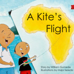 KITES_FLIGHT_COV