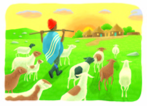 A boy is taking his sheep over over a green African field.