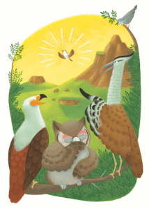 King_of_birds_2
