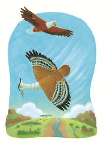 King_of_birds_3