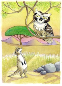 Meerkat1